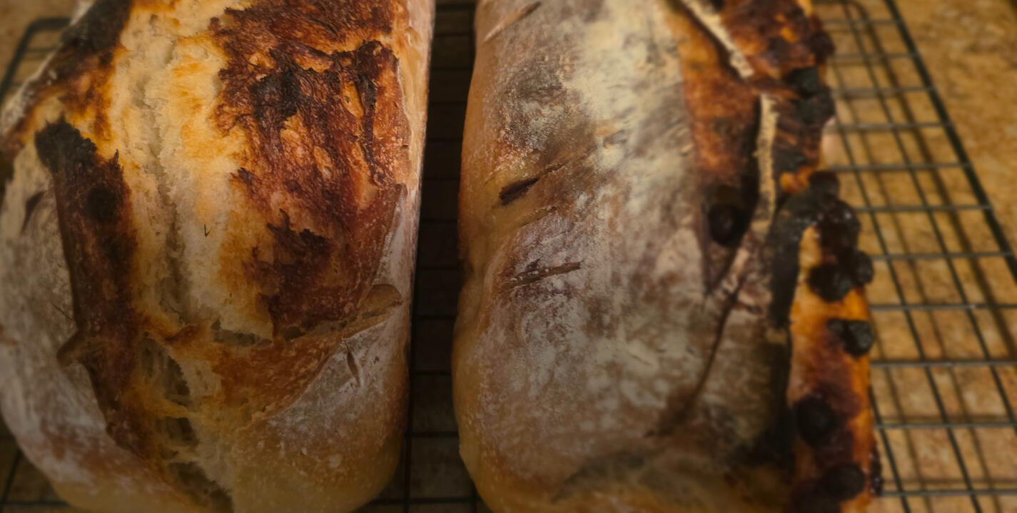 bagels